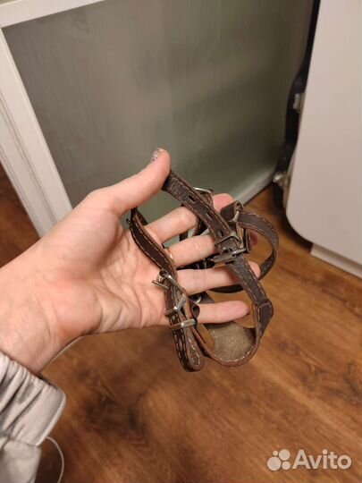 Шлейка для маленькой собаки