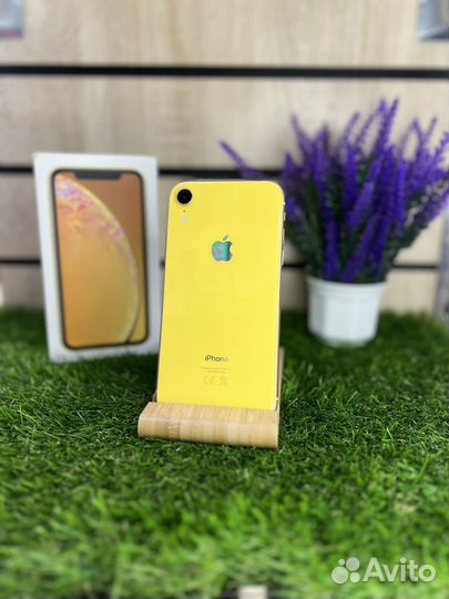 iPhone Xr, 64 ГБ
