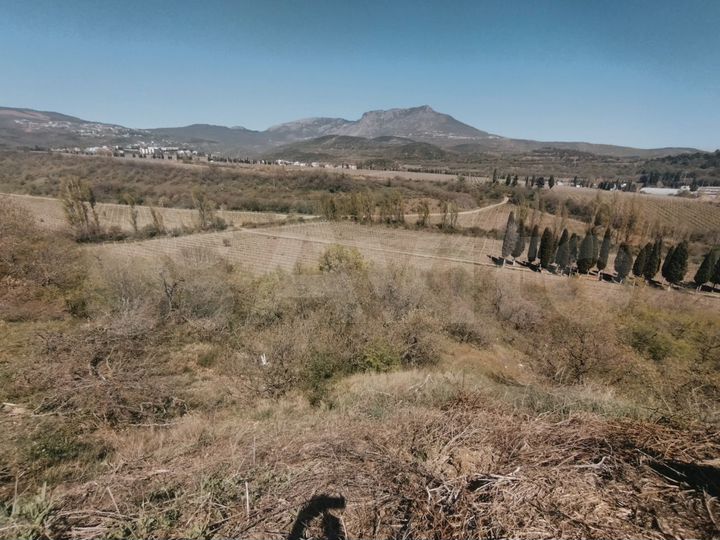 Участок 6 сот. (СНТ, ДНП)