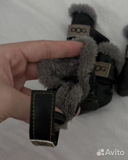 Сапожки для собак