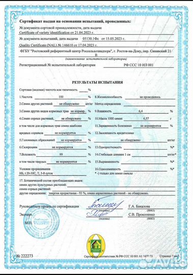 Семена капусты Рамада