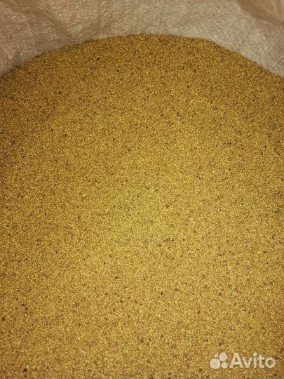 Семена люцерны