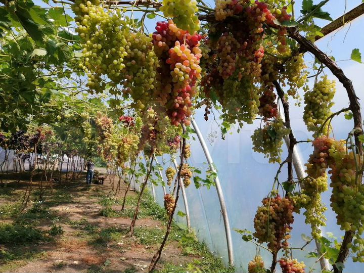 Участок 25 сот. (ИЖС)