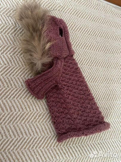 Одежда для собак маленьких пород