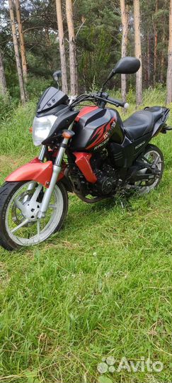 Racer nitro 250
