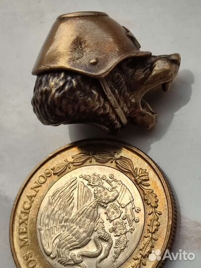 Голова медведя