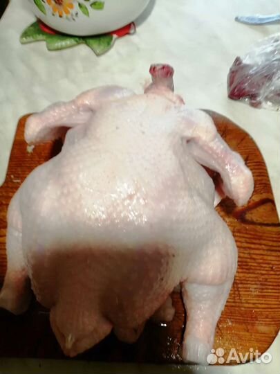 Куры бройлеры тушки мясо
