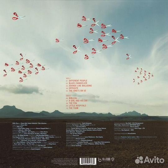 Виниловая пластинка WM Biffy Clyro Opposites (180