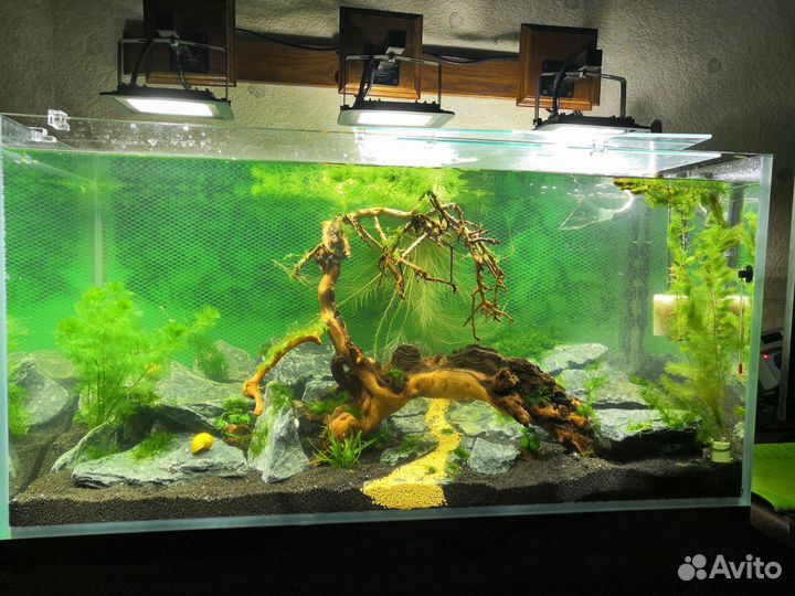 Аквариум+все комплекиующие