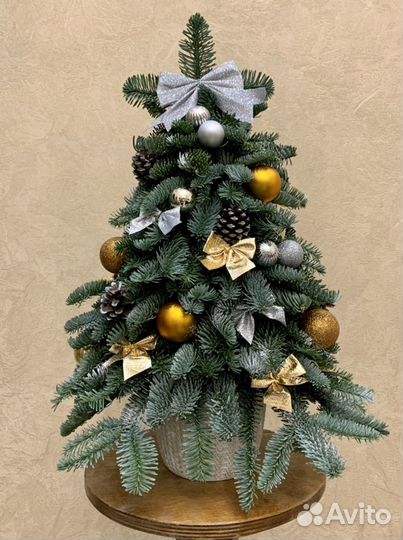 Ëлочки из натуральной хвои (нобилис)