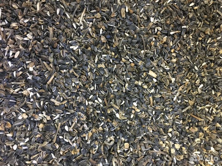 Отходы производства семечек