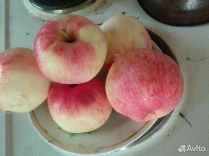 Клипса для часов,продам часы
