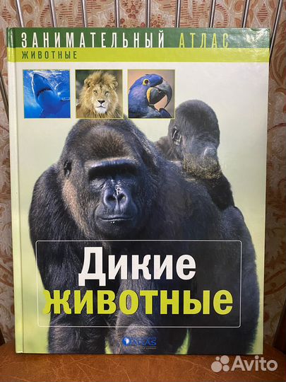 Занимательный атлас