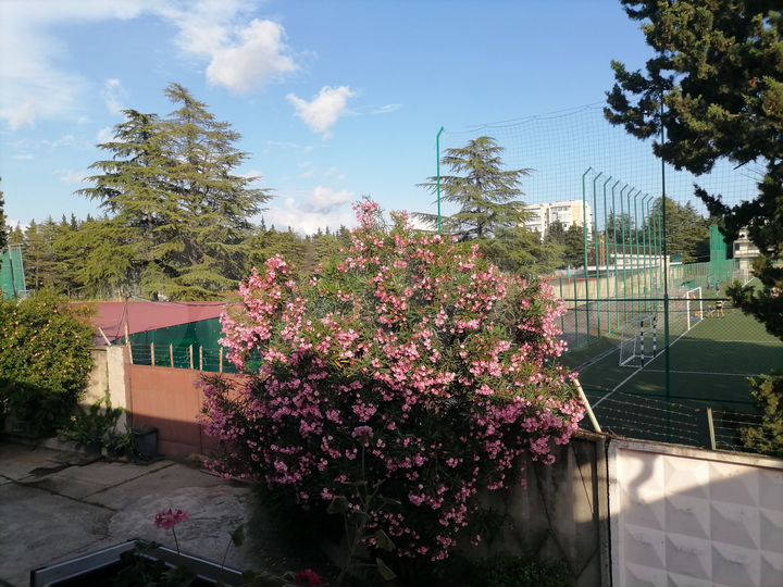 Комната 13 м², 2/2 эт.