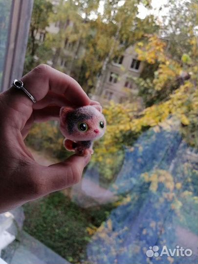 Кошечка Sweet Box