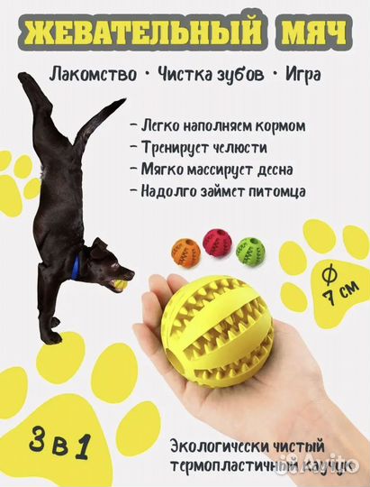 Набор аксессуаров для собак