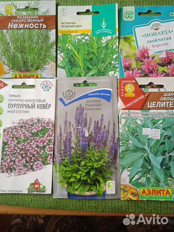 Пряные,ароматные и лекарственные травы