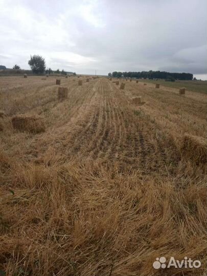 Солома в тюках