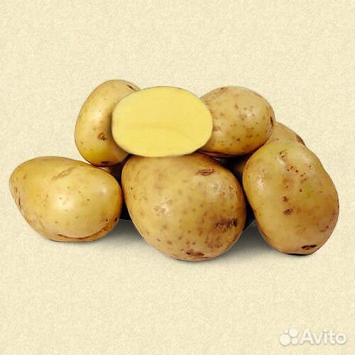 Картофель семенной, мёд