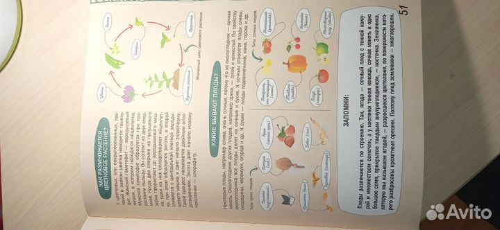 Книжка, бусы и кофточка барби