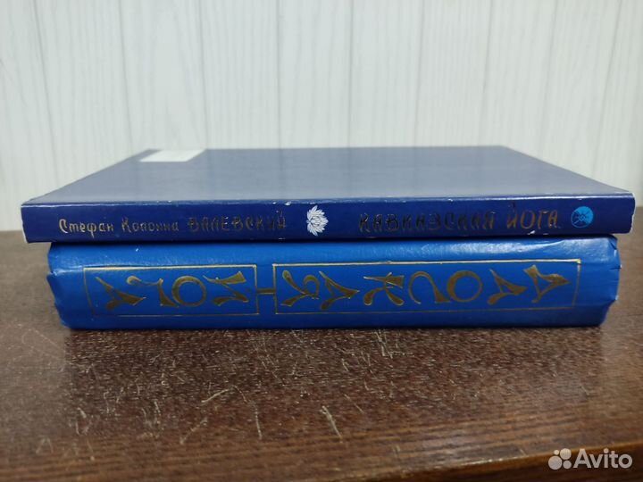 Кавказская Йога, Даоская Йога