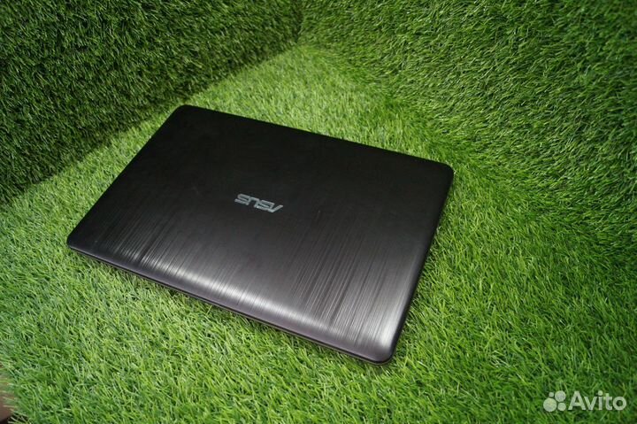 Золотистый asus для дома и офиса