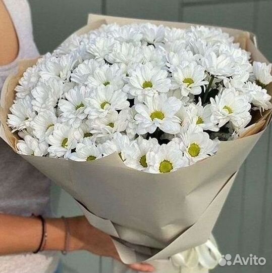 Хризантема Букеты с доставкой