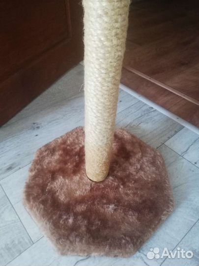 Когтеточка