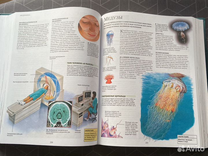 Большая иллюстрированная энциклопедия школьника