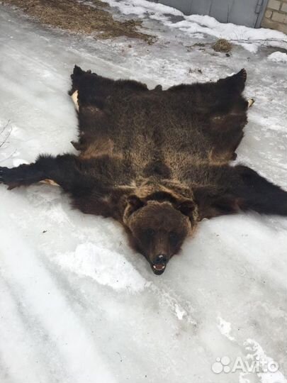 Имитация медведя