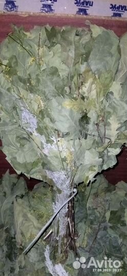 Дубовые веники для бани с травами