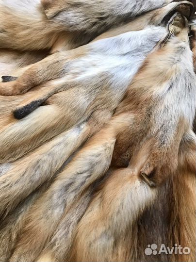 Лисья шкура