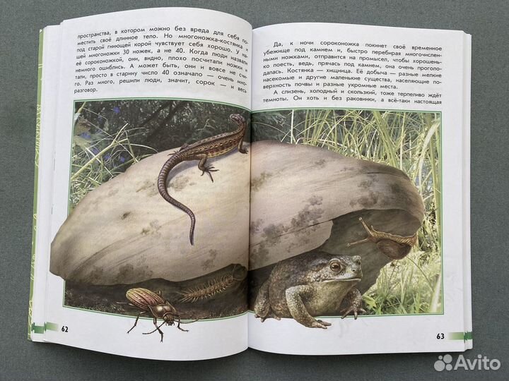 А. А. Плешаков, А. А. Румянцев 