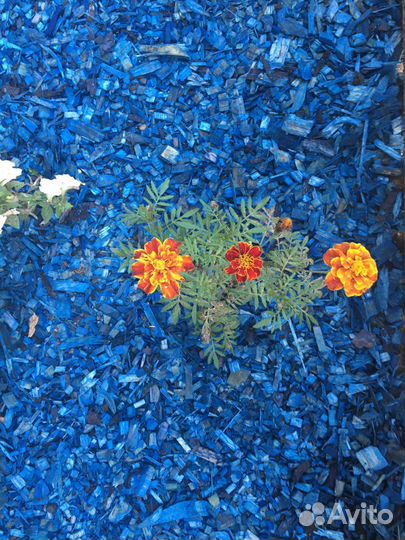 Щепа декоративная синяя