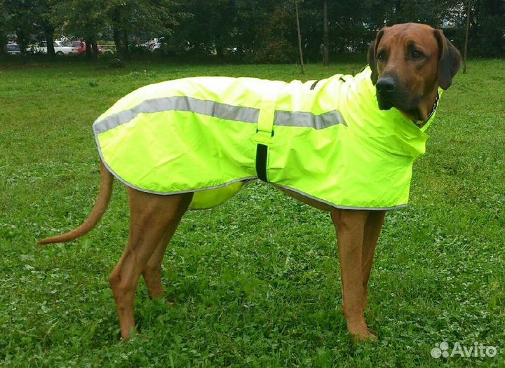 Hurtta Плащ-дождевик для собак