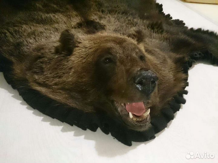 Шкура медведя (имитация)