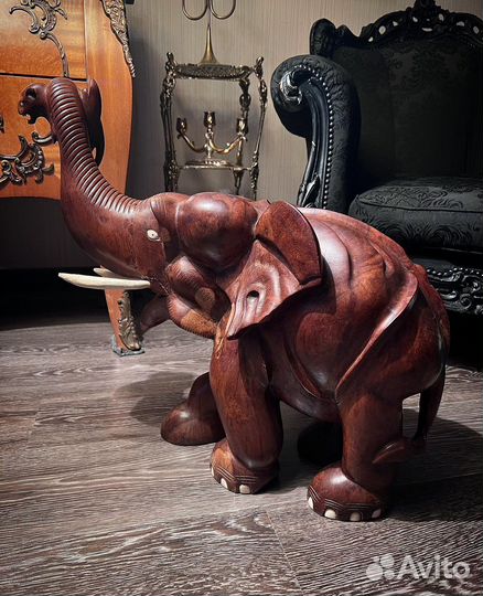 Слон. Германия