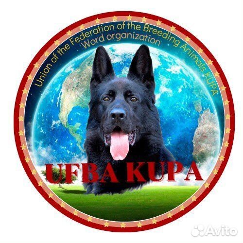 Передержка животных