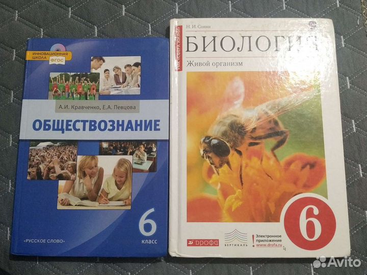 Школьные учебники