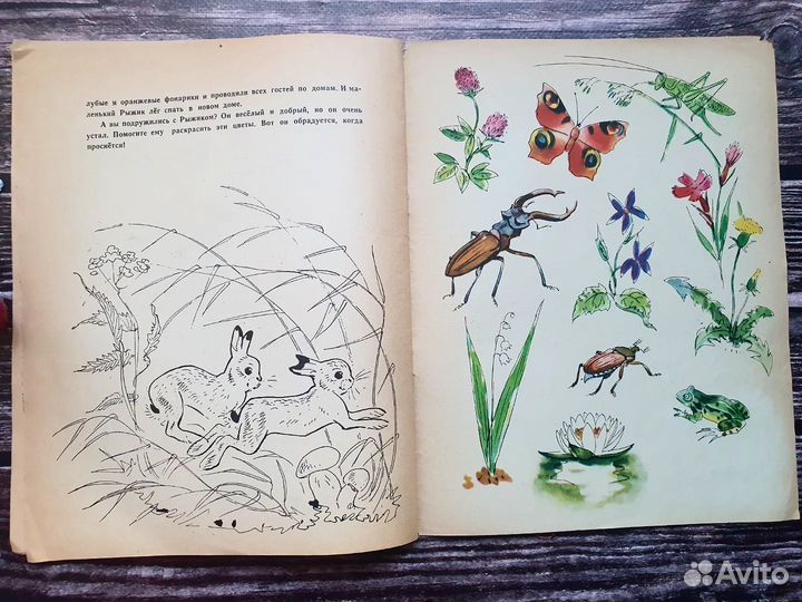 Смирнов. Рыжик. 1971 г