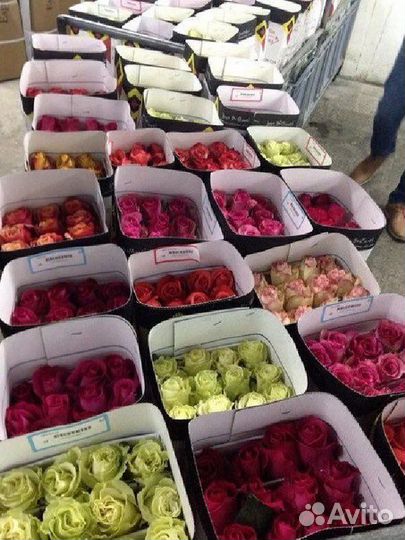 База Цветов Оптом Розницу Букеты