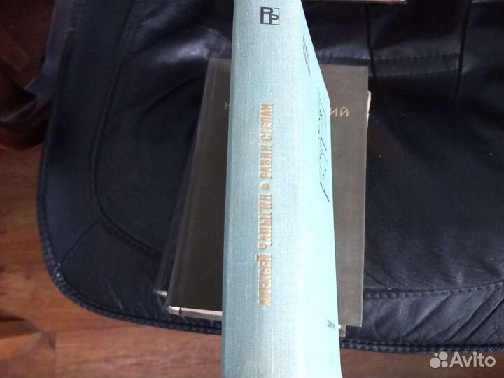 Разин Степан Алексей Чапыгин