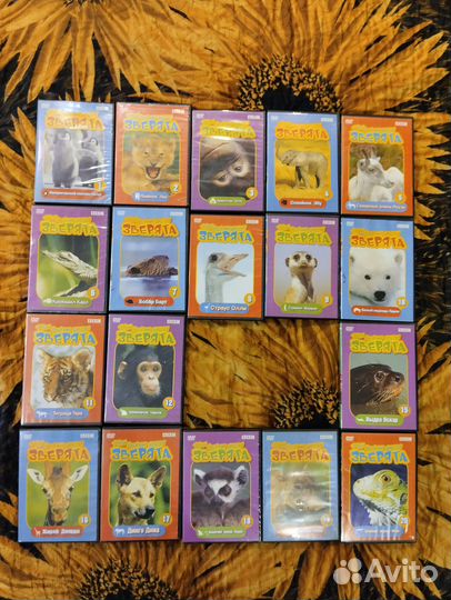 DVD диски и журналы про животных