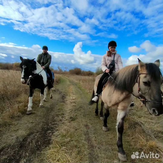 Катание на лошадях - Выезд в Поле