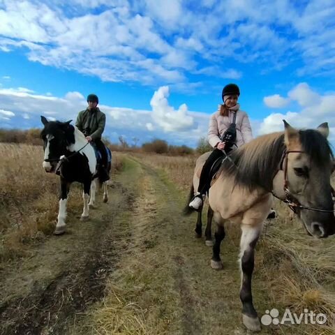 Катание на лошадях - Выезд в Поле