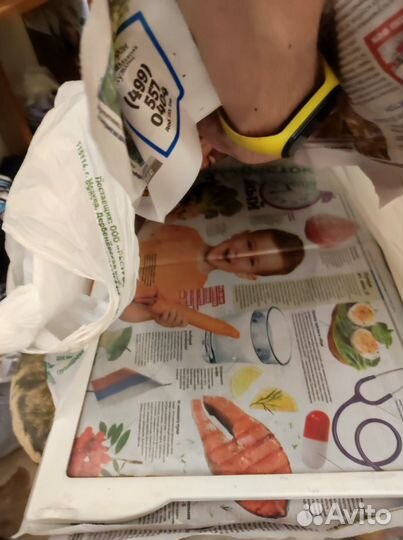 Полка в холодильное отделение (стекло) 51.5/34