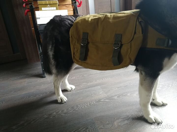 Продам рюкзак на собаку