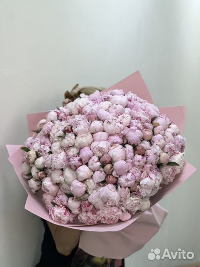 Пионы. Букет цветов