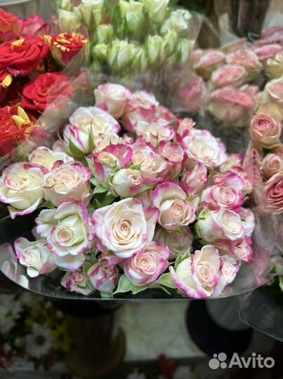 Пионовидные кустовые розы