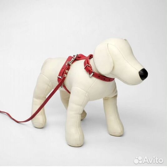 Шлейка и поводок для кошки